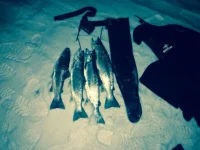 IMG-20150123-WA0001.webp