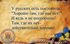 10420291_1020078941339225_5676576658449969228_n.webp