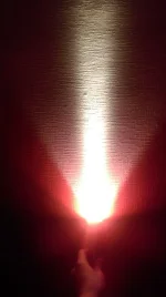 IMAG0320.webp