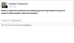 цикада.webp