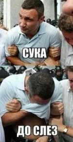 4557885.webp