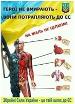 EPT9wr7ybe8.webp
