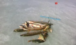 IMG_20150223_140755.webp
