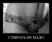 BjDQyXLevqU.webp