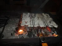 SAM_1797.webp