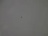 1425593623165-1929260930.webp