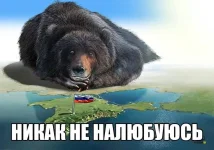 10985038_1399182740395590_1487423795511904881_n.webp