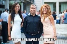 2242606391.webp