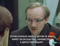 10349983_365280300329469_308798670168301507_n.webp