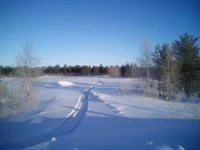 IMG_20150312_074207[1].webp