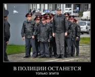 12d78dad0f714f030ece574cea271.webp