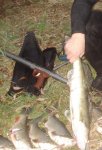 DSC04033.jpg