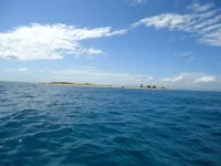 tururu001.webp
