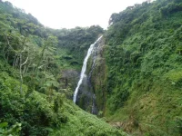 jalda005.webp