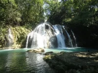 bueyes03.webp