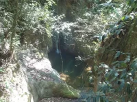 gera003.webp