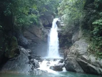 j004.webp