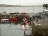 image3.webp