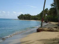 atlant006.webp