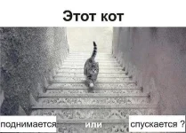 10404103_545398295602326_1355843514290210051_n.webp