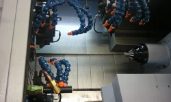 Foto0014.webp