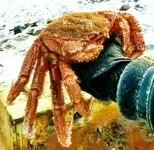 Комплекс (7) - копия.webp