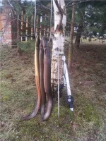 ae73d833d602.webp