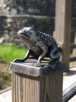 g4_23.webp g4_23.webp