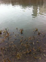 Share2015-04-03-dc99a7034b457ae4d670cca64d0ae3baf5ee15b6bd404432a361dcd268a2a0bc-Picture.webp