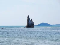 Находка - копия.webp