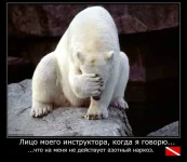 11112847_1591306987793438_585842951277660451_n.webp