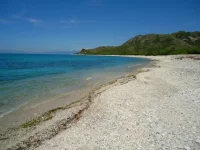 f001.webp