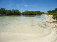 f002.webp