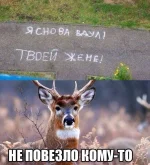 EsA49U4k3J8.webp