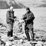 Наш осьминог на пасху - копия.webp