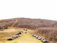 Вятлина # 278478 (71) - копия.webp