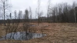 вал 15.webp