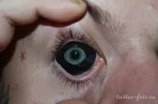 скачанные файлы.webp