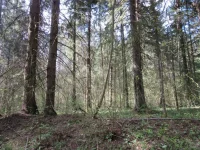 Фабрика ФорматовIMG_0426[1].webp