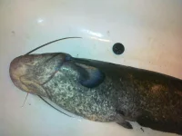 23052013264.webp