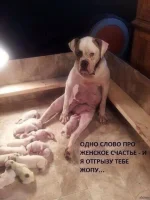 IMG-20150416-WA0000.webp
