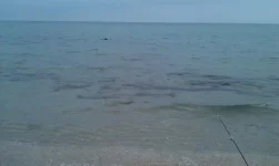 IMG-20150608-WA0012.webp