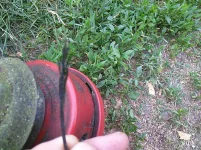IMG_20150617_190417.webp