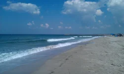 IMG-20150623-WA0000.webp