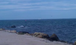 IMG-20150629-WA0000.webp