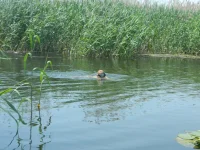 DSCN2132.webp