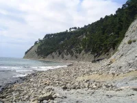 PICT0501.webp