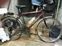 IMG-20150706-WA0000.webp