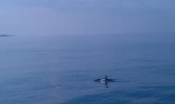 IMG-20150713-WA0005.webp
