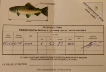 Лицензия.webp